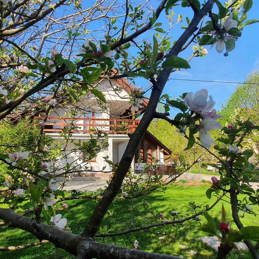 House Samardzic Otel Jezerce Dış mekan fotoğraf