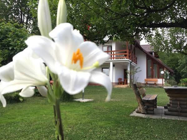 House Samardzic Otel Jezerce Dış mekan fotoğraf
